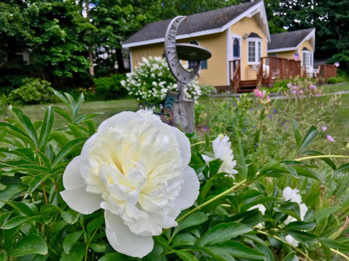 Sand Bar Cottage Inn Бар Харбор Экстерьер фото